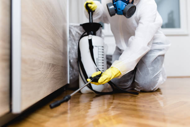 Best Affordable Pest Control Services  in White Rock, NM