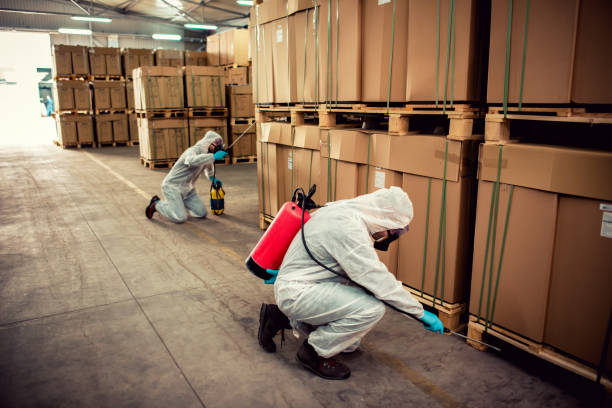 Best Pest Inspection Near Me  in White Rock, NM