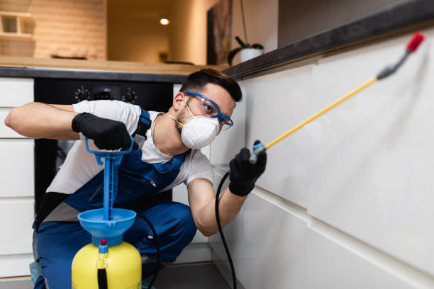 Best Mosquito Control Services  in White Rock, NM