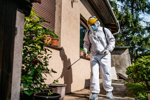Best Emergency Pest Control  in White Rock, NM