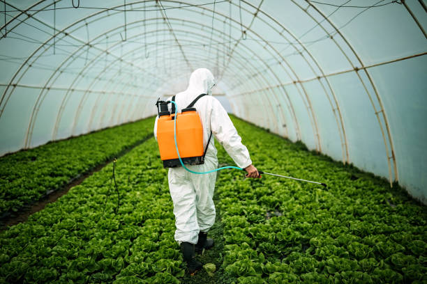 Best Pest Removal Services  in White Rock, NM
