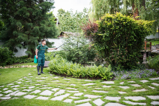 Best Mosquito Control Services  in White Rock, NM