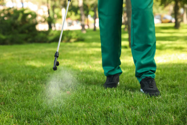 Wasp Removal Services in White Rock, NM