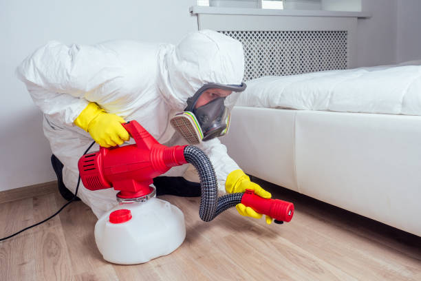 Best Commercial Pest Control Services  in White Rock, NM