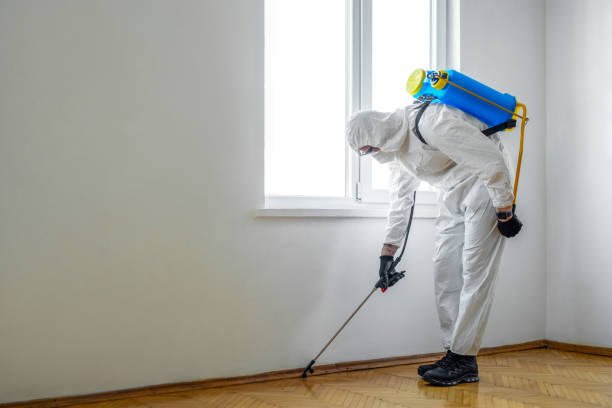 Best Affordable Pest Control Services  in White Rock, NM