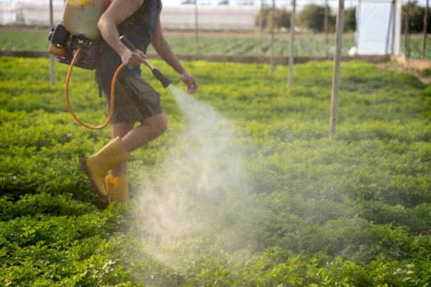 Trusted White Rock, NM Pest Control Experts