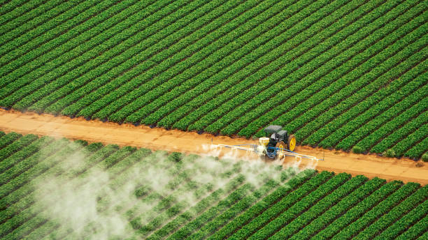 Best Mosquito Control Services  in White Rock, NM